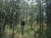 Below Yam-Aspens