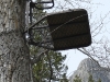 Below Yam-Treestand