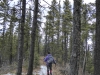 Mt Barwell winter-10550.jpg