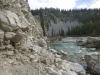 quirk-beaver-40142