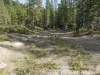 quirk-beaver-40189