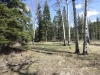 bow-valley-south-00046