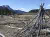 bow-valley-south-80936