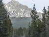 hidden-centennial-0382