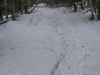 hidden-centennial-0385