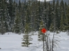 elkwood-snowshoe-trails-80845