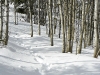 Baldy-snowshoe-4