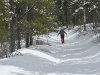 mclean-hill-snowshoe-1