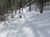 mclean-hill-snowshoe-2