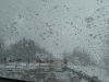 mclean-hill-snowshoe-4