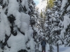 rea-glacier-snowshoe-2