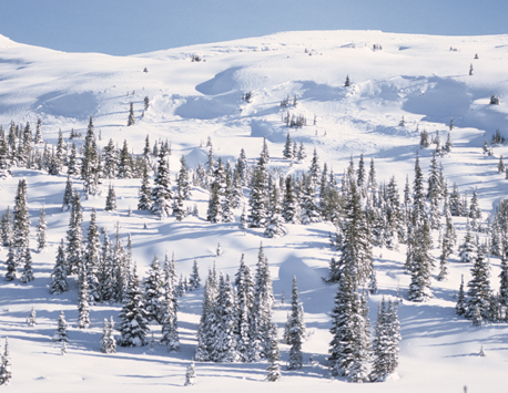 Challenging terrain Challenging terrain