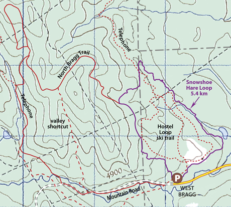 Snowshoe Hare map