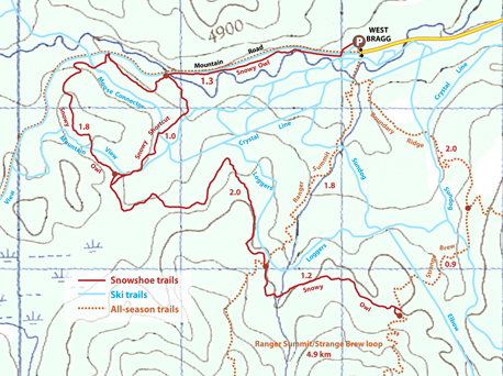 Snowy Owl map