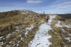 Winter Walks on Mount Barwell