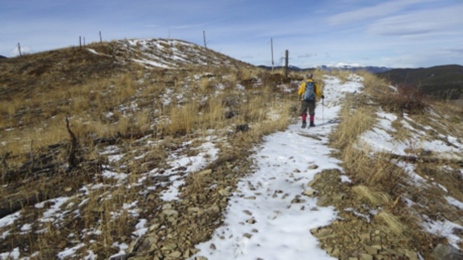 Winter Walks on Mount Barwell