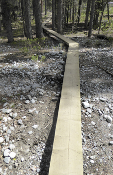 Boardwalk