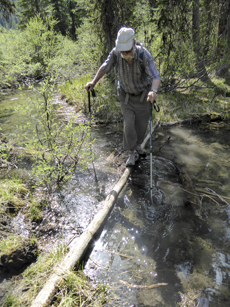 Crossing log