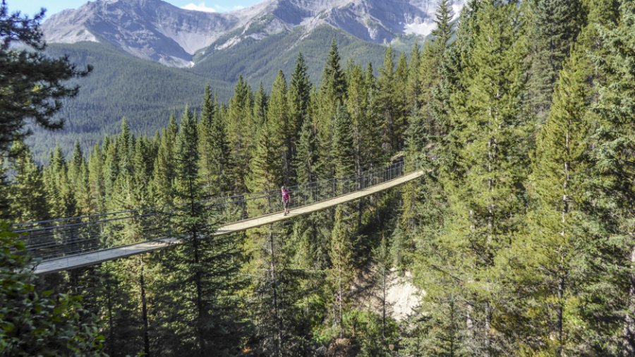 The High Rockies Trail