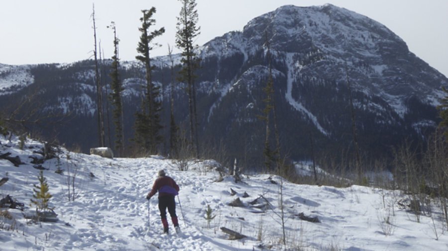 Lusk Creek Loop