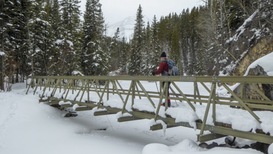 Snowshoe Ribbon Creek