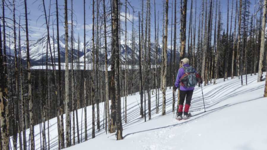 Buller to Chester Snowshoe