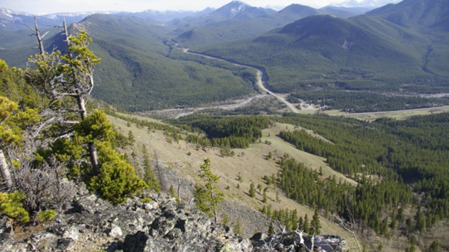 View from Junction Hill