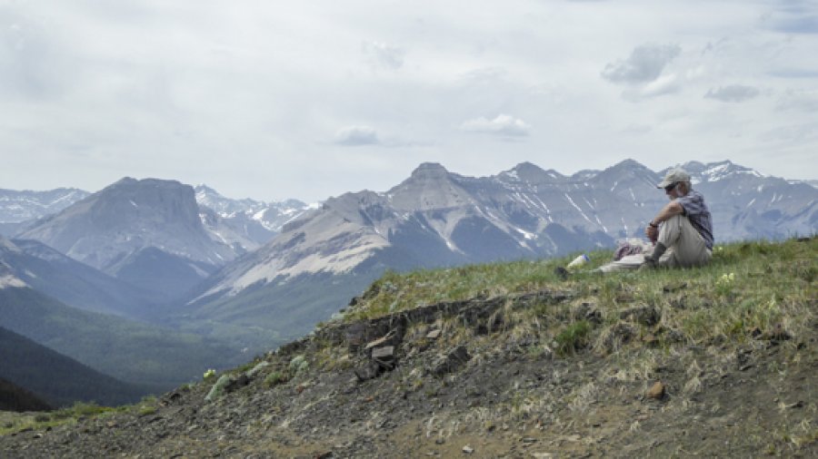 Hoffmann summit