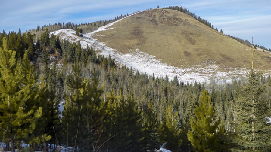 Mesa Butte