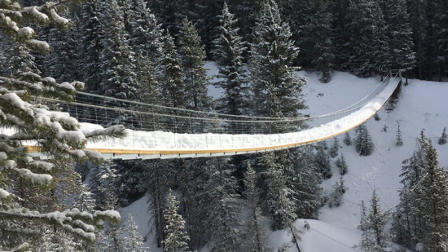 Snowshoeing the High Rockies Trail & the Blackshale Suspension Bridge