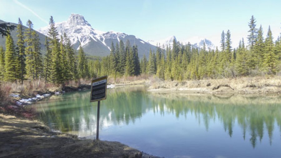 Great Trail paddle