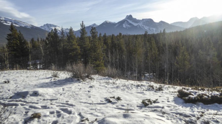 There is a New Snowshoe Trail at Kananaskis Village