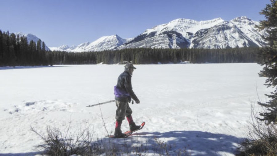 Snowshoe Frozen Toad and other new trails in Peter Lougheed Park