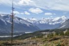 Mustang Hills after logging