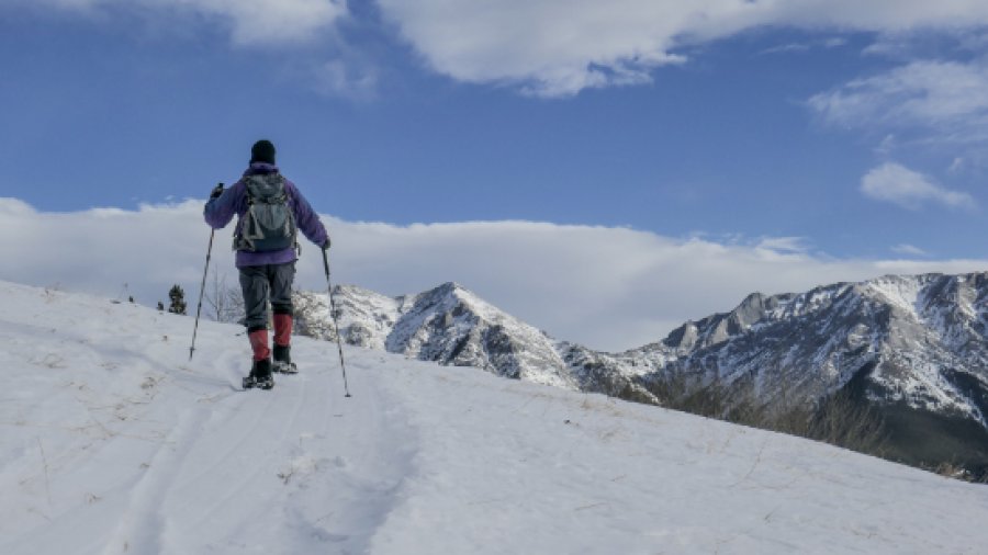 New Mine Meadow Snowshoe Loop