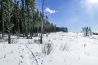 New Boundary Horse,  snowshoe and winter walking route
