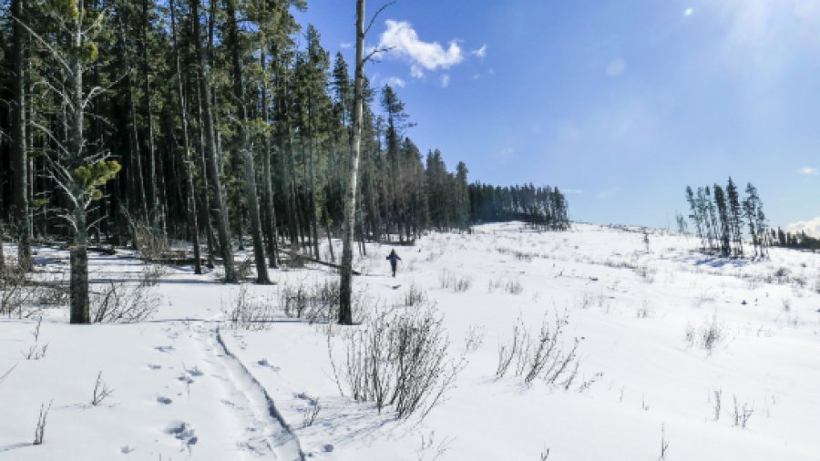 New Boundary Horse,  snowshoe and winter walking route