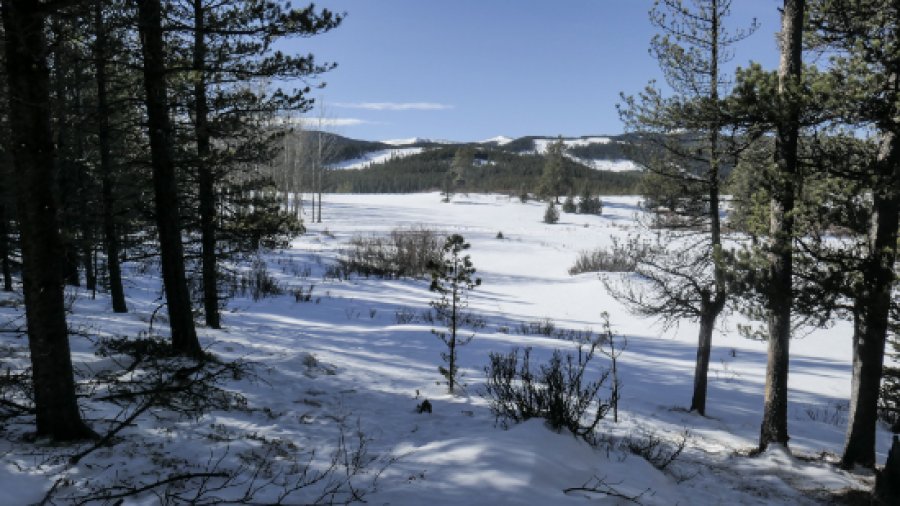 The New West Meadow horse, snowshoe and winter walking trail