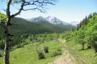 Flat Creek Access Problem