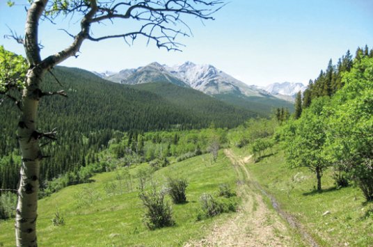 Flat Creek Access Problem Thumbnail