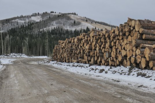 Logging News for Mesa Butte Thumbnail