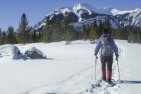 Safe Winter Trails in Kananaskis Country for Snowshoeing and Winter Walking