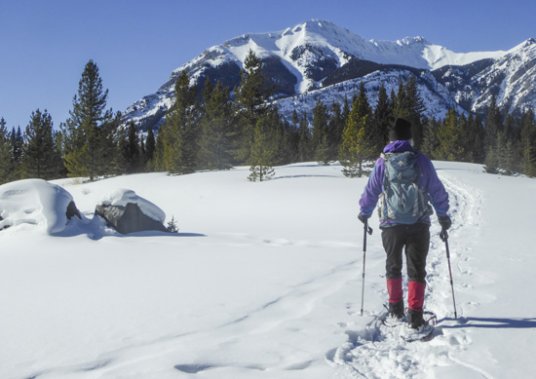Safe Winter Trails in Kananaskis Country for Snowshoeing and Winter Walking Thumbnail