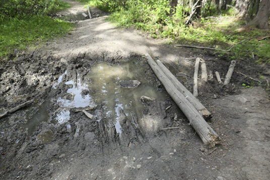 Trails on Public Lands in the Foothills of Kananaskis Country Getting Little Maintenance Thumbnail