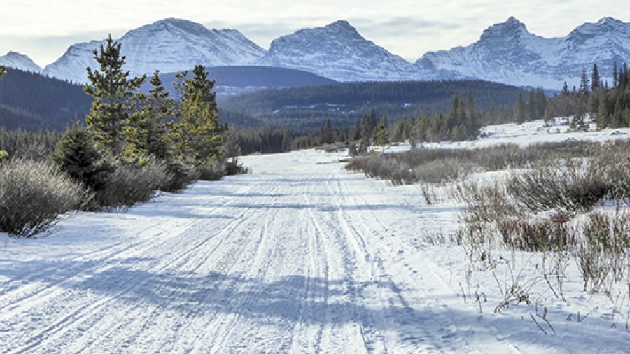 Alberta Parks Suggests Provincial Associations be Trail Managers